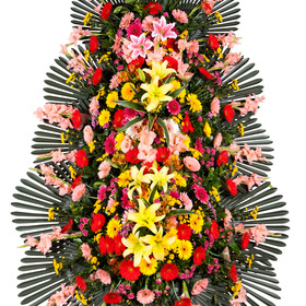 정품3단(착한가격8,즉시할인)