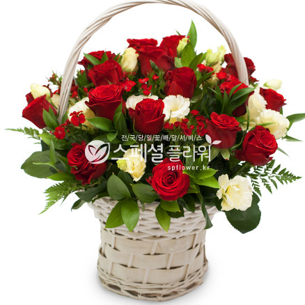 사랑의 파수꾼♥최고인기상품
