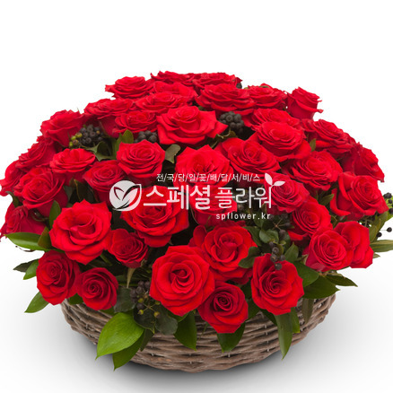 레드장미바구니