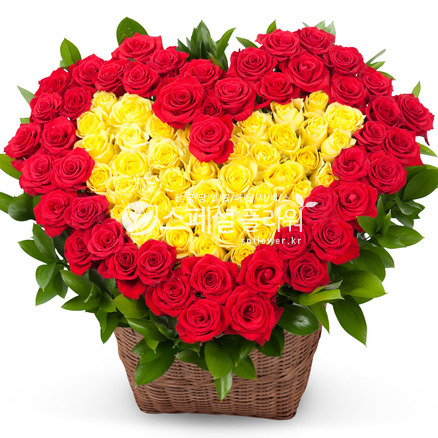 사랑의 마력♥ 20%할인가