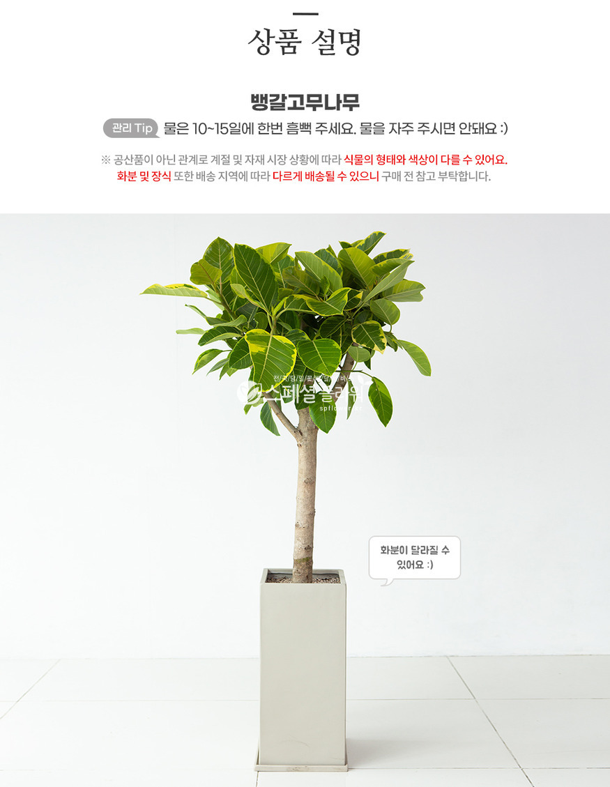 상세이미지