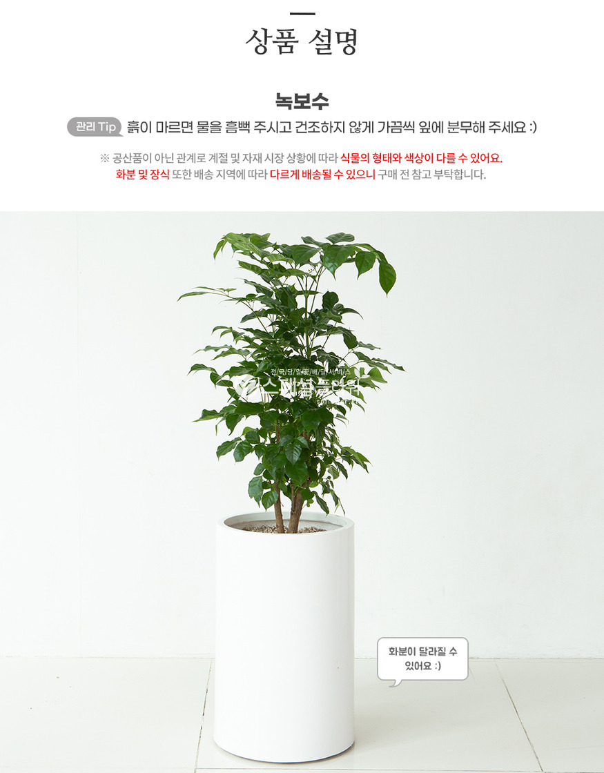 상세이미지