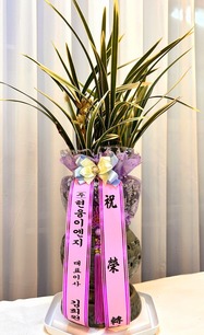 편우* 상무님