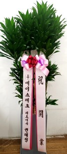홍상* 님