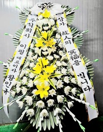 전영* 님
