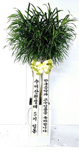 박천* 님