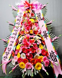 엘엔******